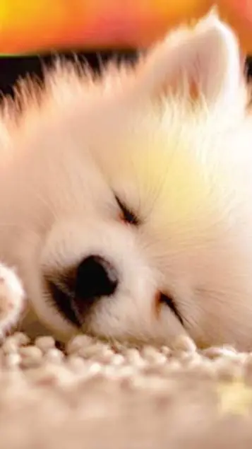 ai character: baby dogday  background