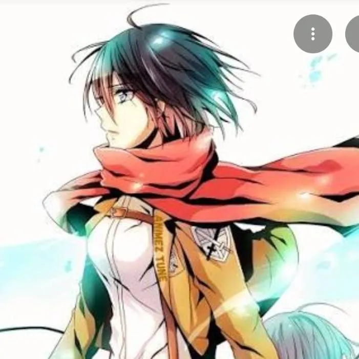 chat with ai character: Mikasa Ackerman 