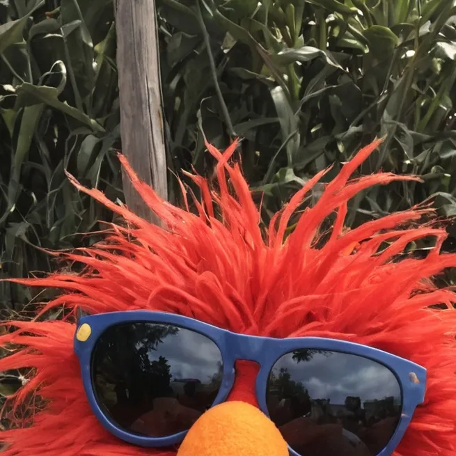 chat with ai character: Roasting Elmo 