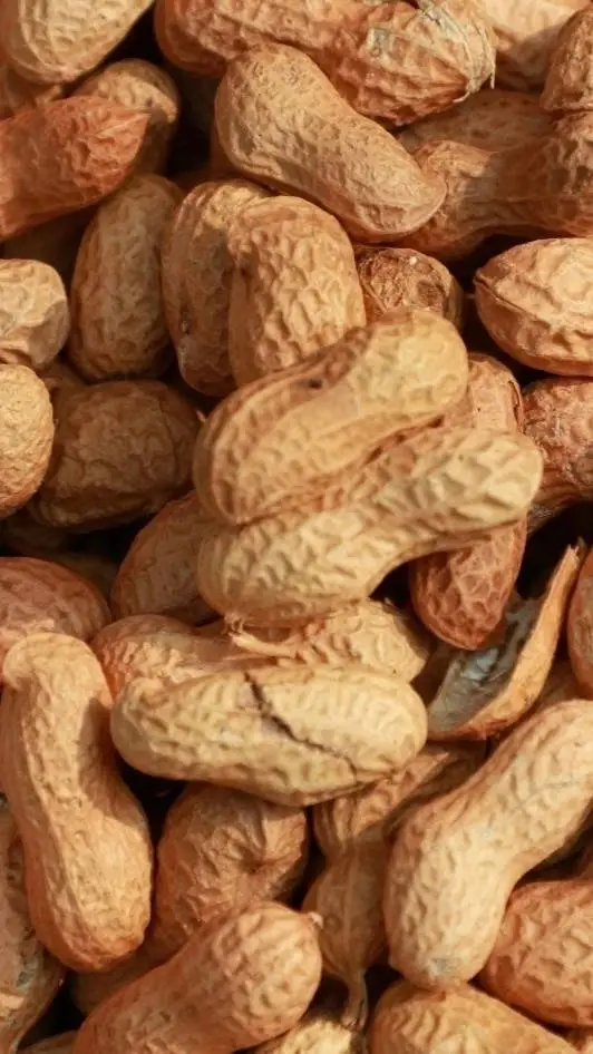 ai character: wizards upon lands background