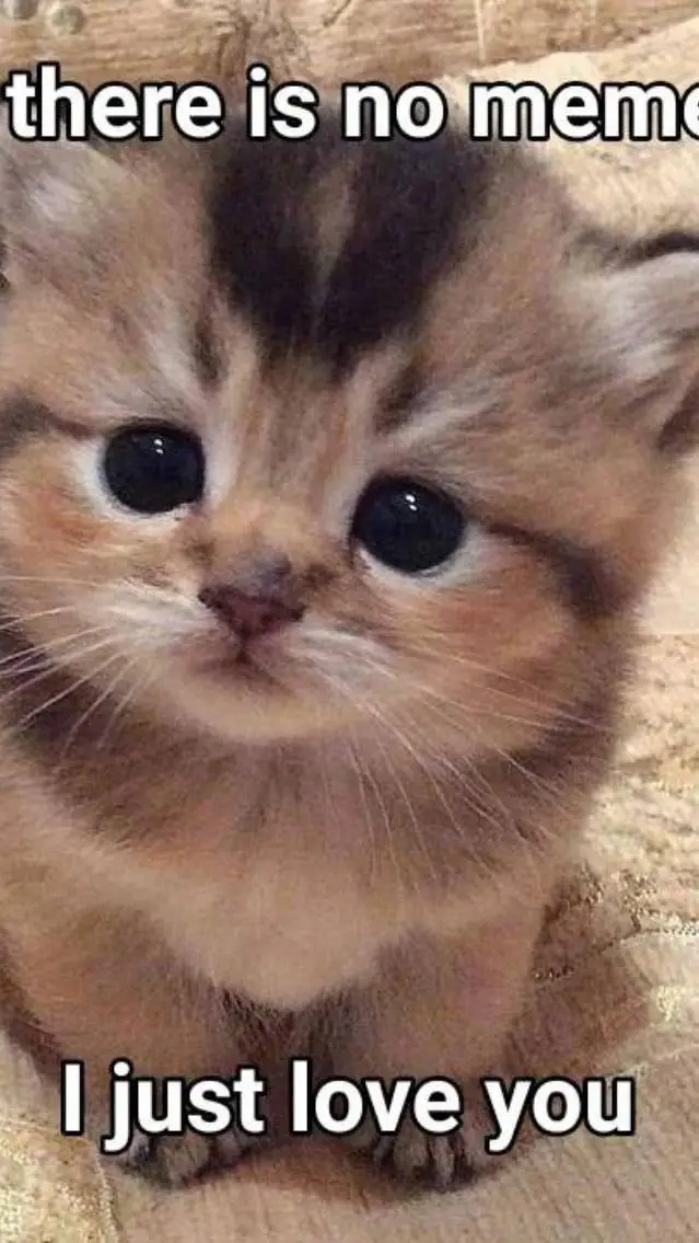 ai character: Therapy  background