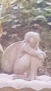 ai character: fnaf sb background