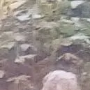 chat with ai character: fnaf sb