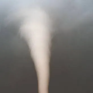 chat with ai character: BFDI: The Tornado 