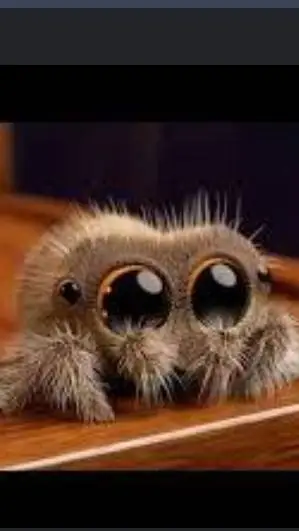 ai character: Lucas The Spider background