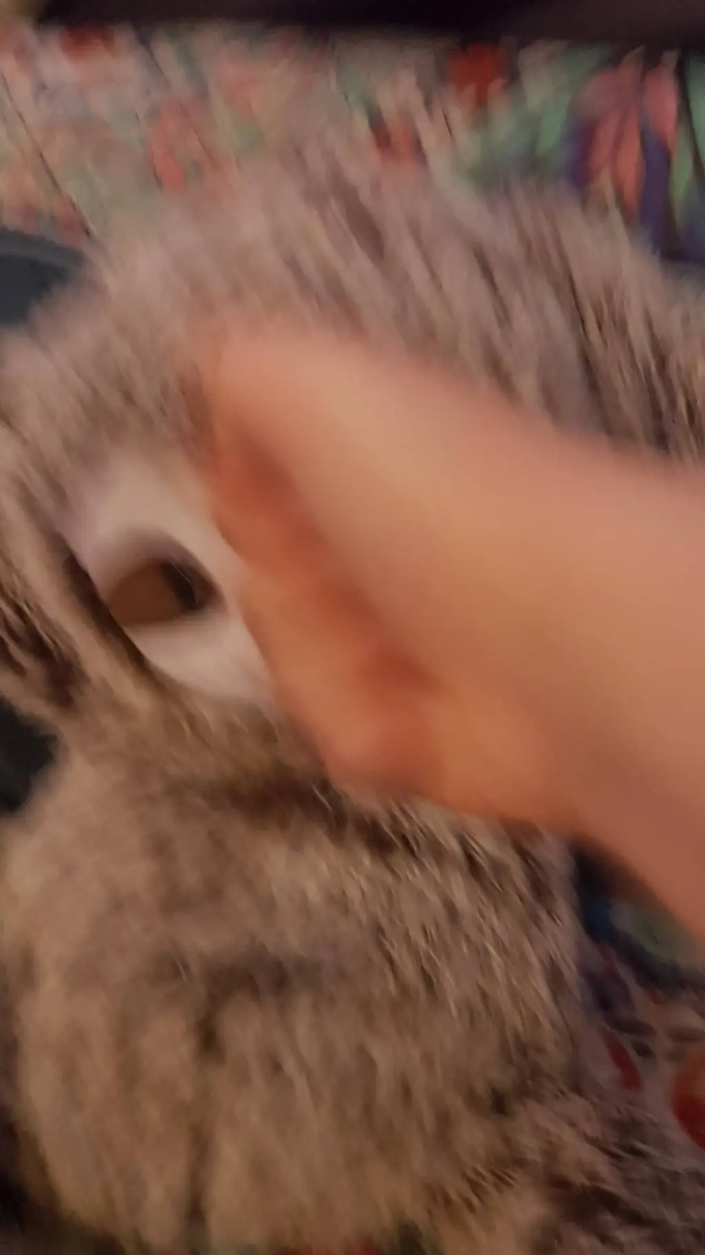 ai character: fpe MOREEEEEEEEEEE background