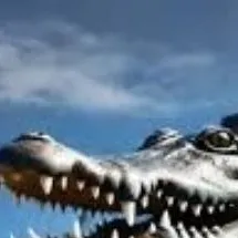 chat with ai character: Bombardino Crocode