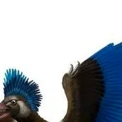 chat with ai character: Archeagopteryx 