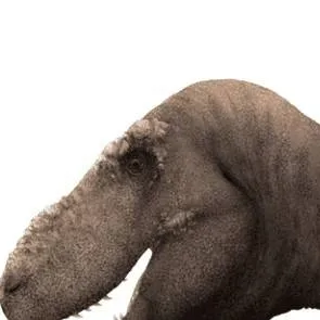 chat with ai character: Tarbosaurus 