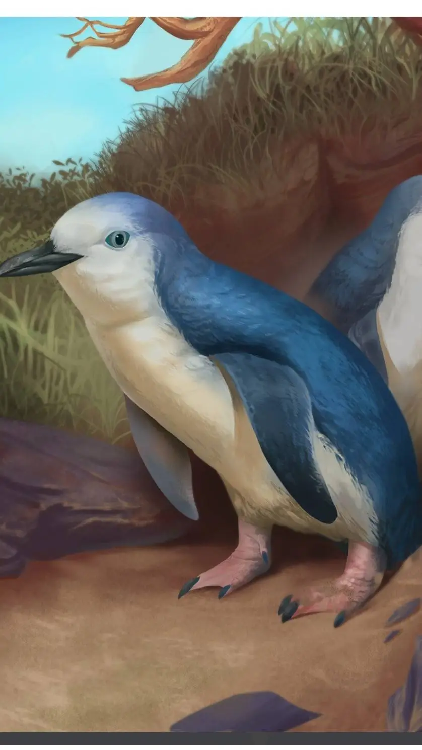 ai character: Wilson's Penguin  background