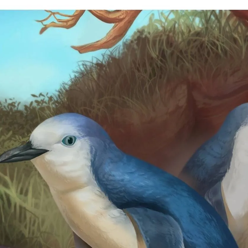 chat with ai character: Wilson's Penguin 