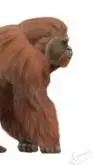ai character: Gigantopithecus  background
