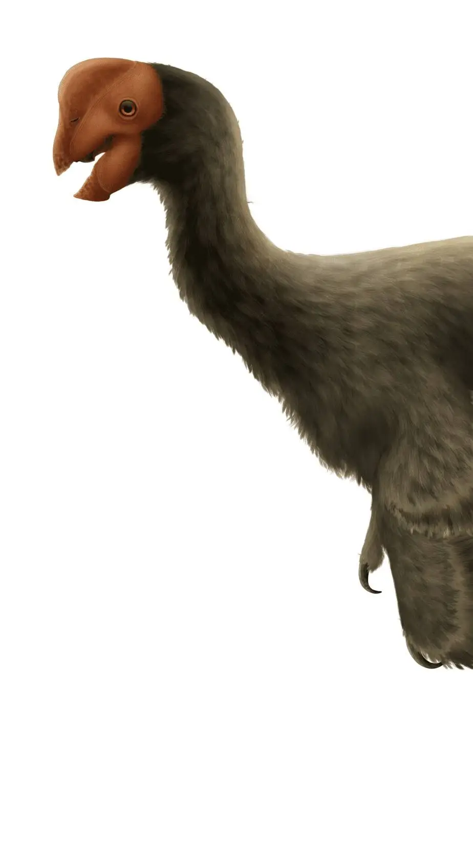 ai character: Oviraptor  background