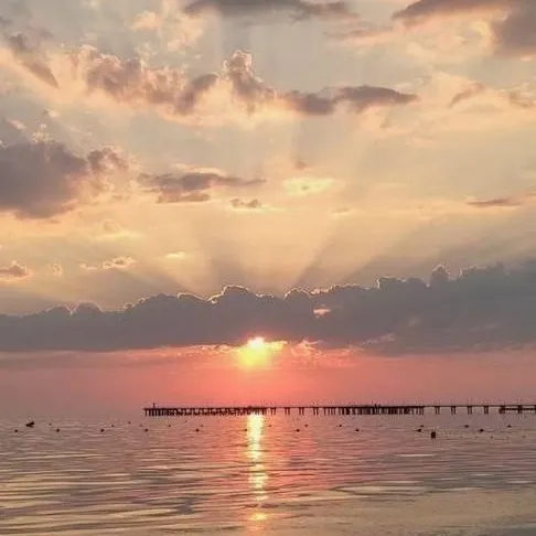 chat with ai character: post thingy idk