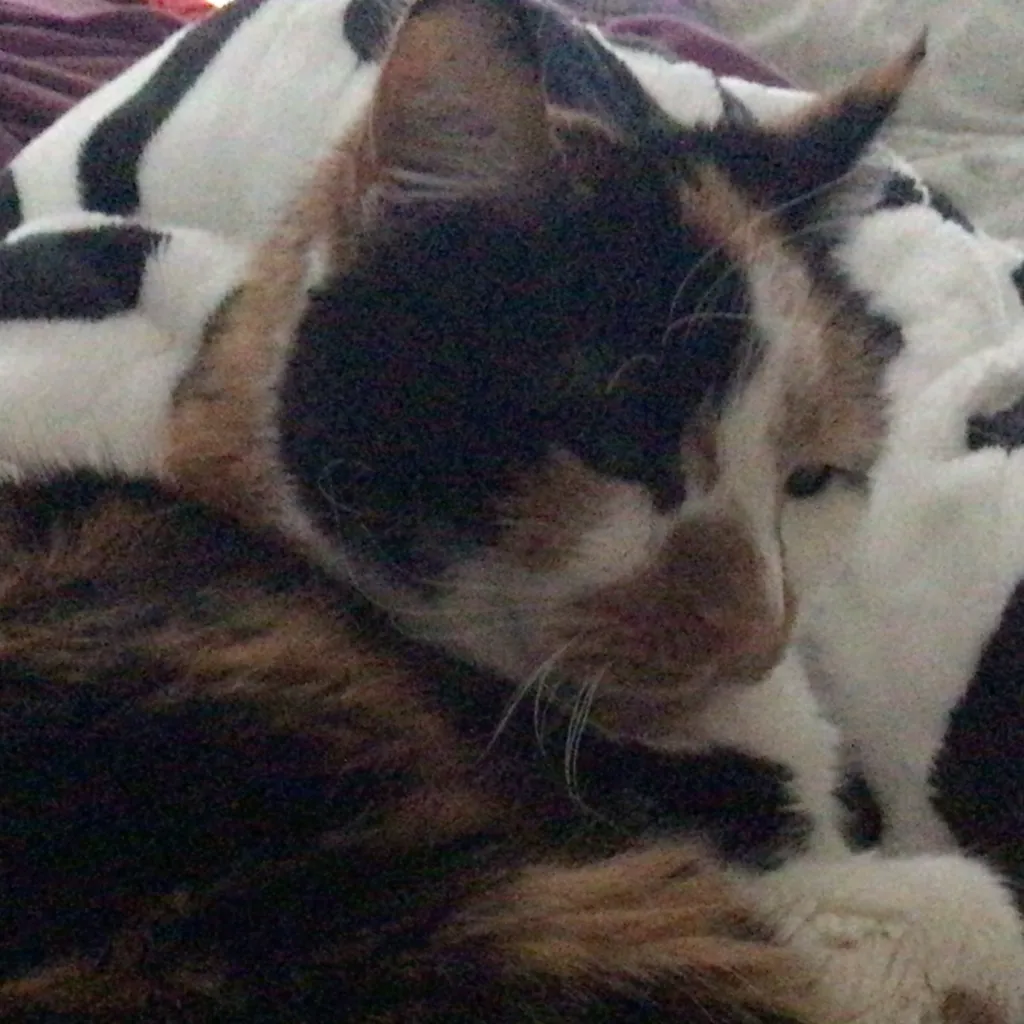 chat with ai character: HP GC PT 2