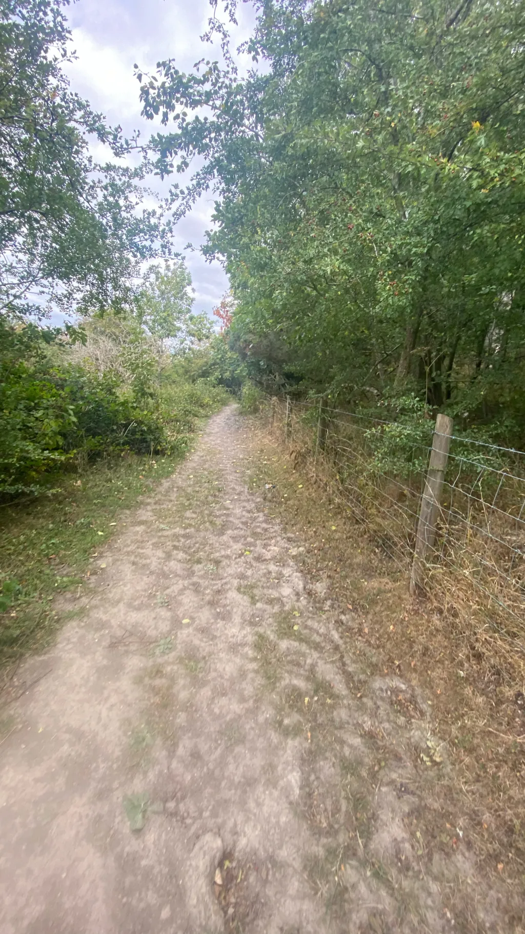 ai character: Hp yr3 background