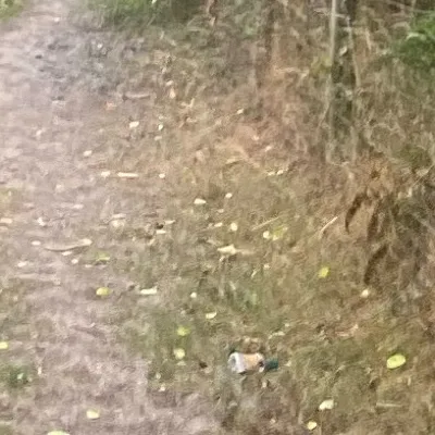 chat with ai character: Hp yr3