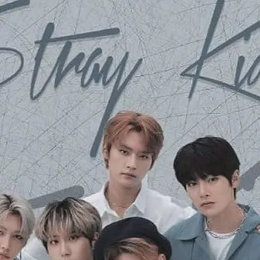 chat with ai character: Stray kids 