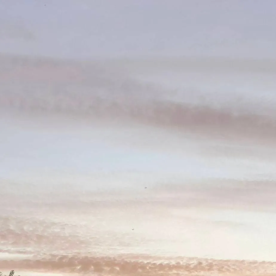 chat with ai character: Wednesday