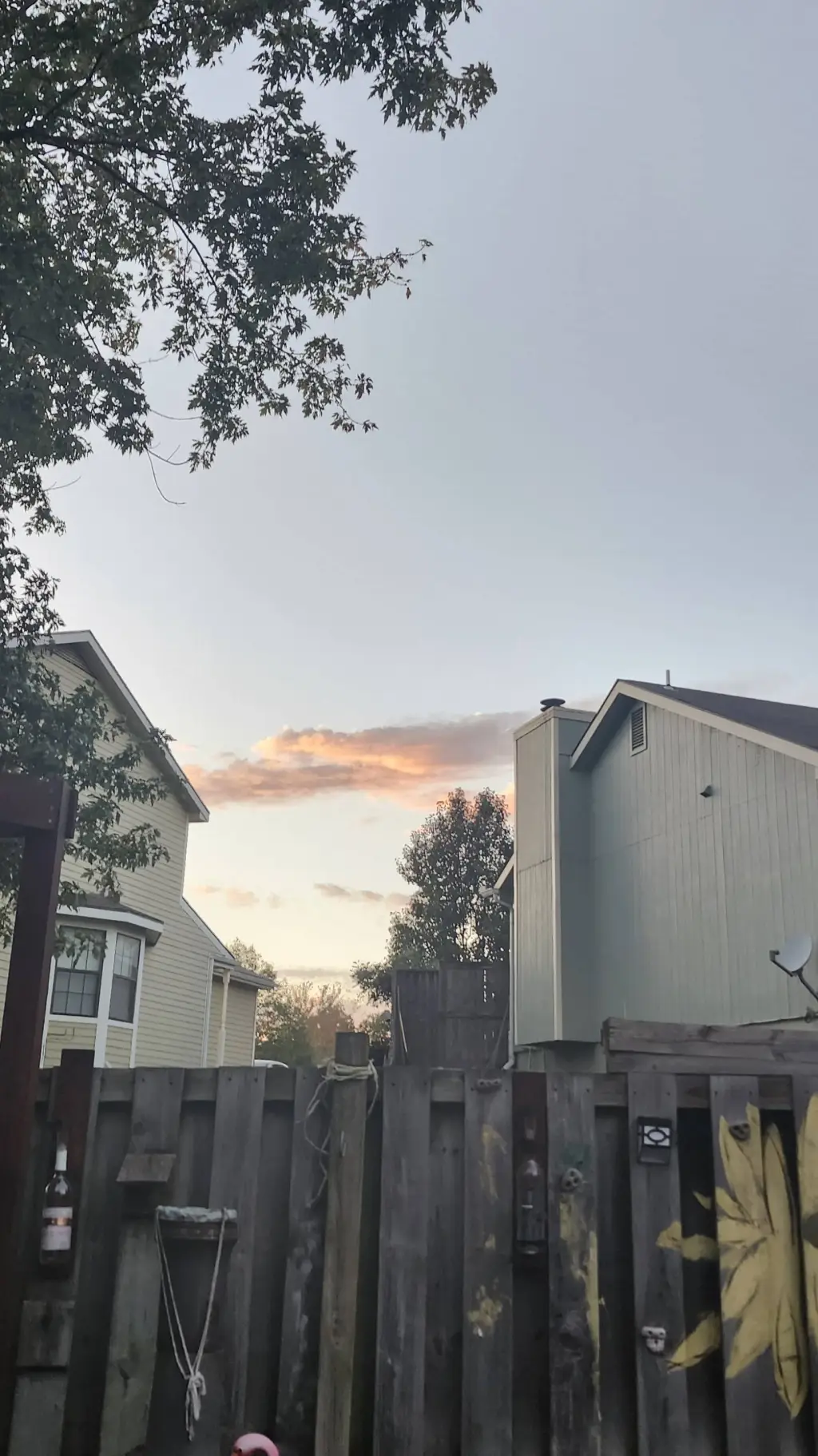 ai character: Wednesday background