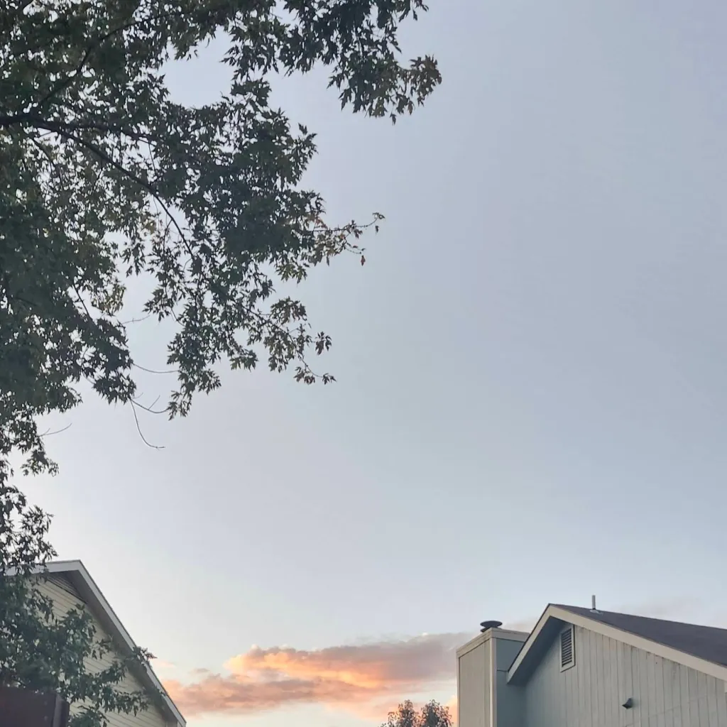 chat with ai character: Wednesday