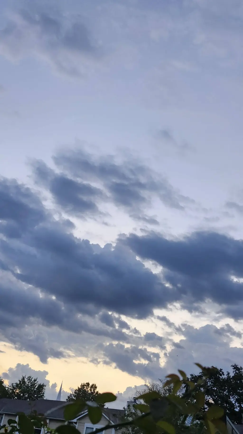 ai character: Wednesday background