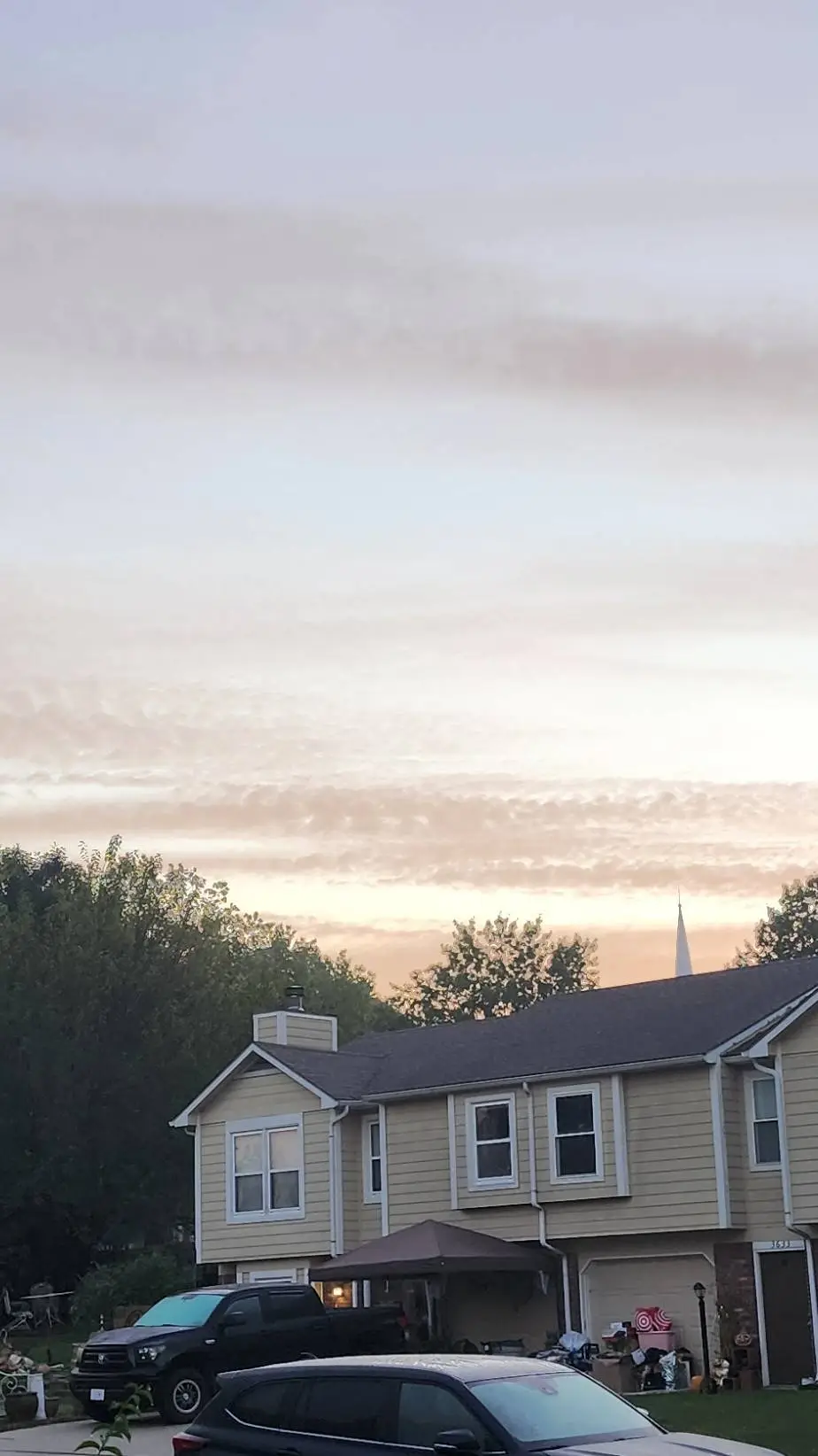 ai character: Wednesday background