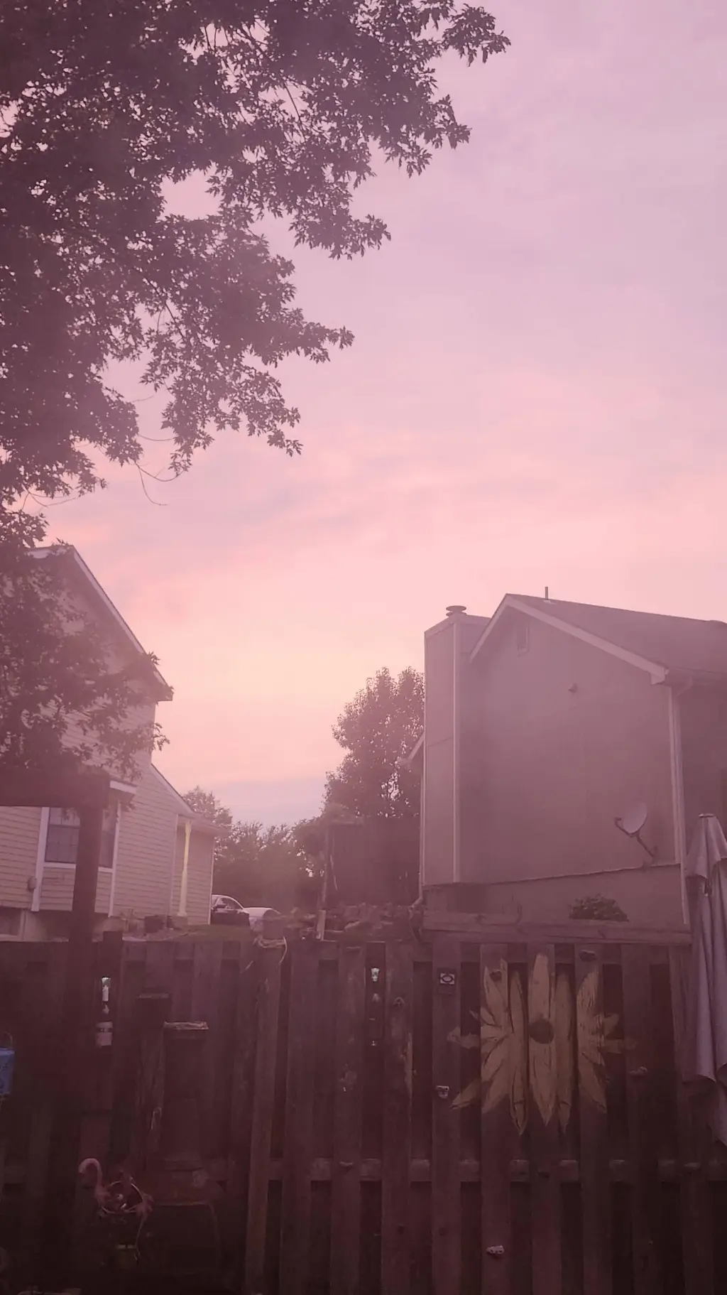 ai character: Wednesday background