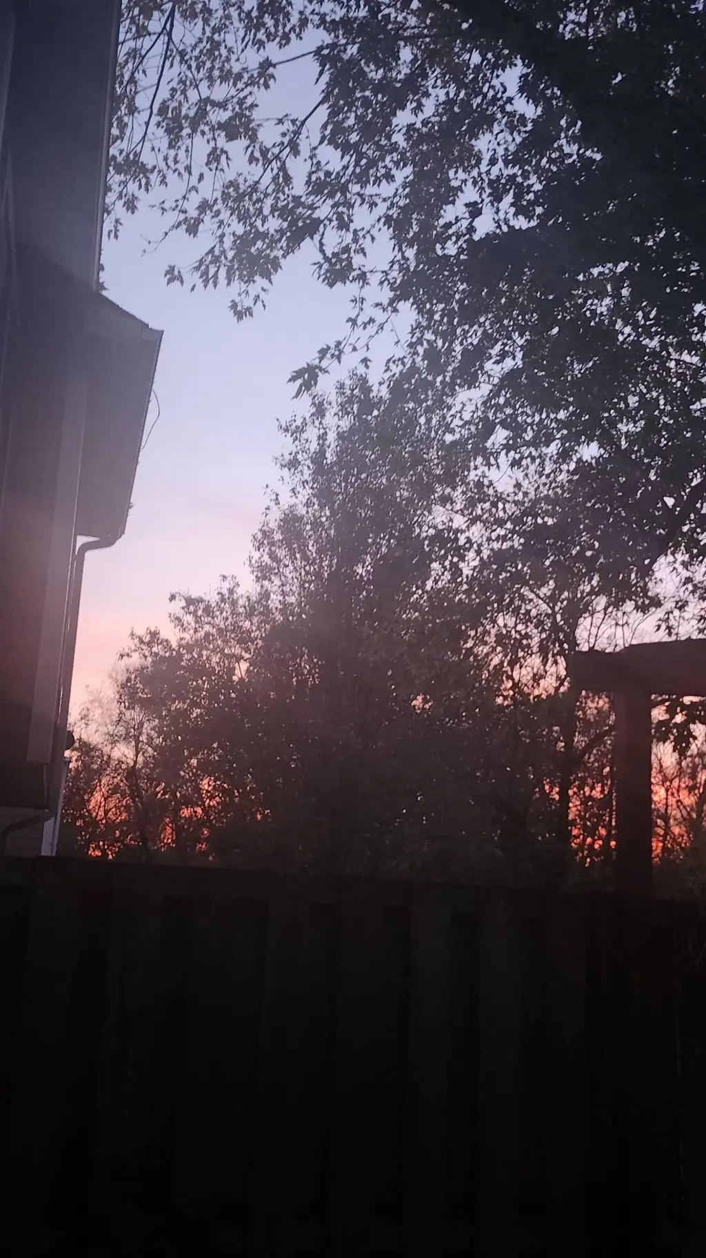 ai character: Wednesday background