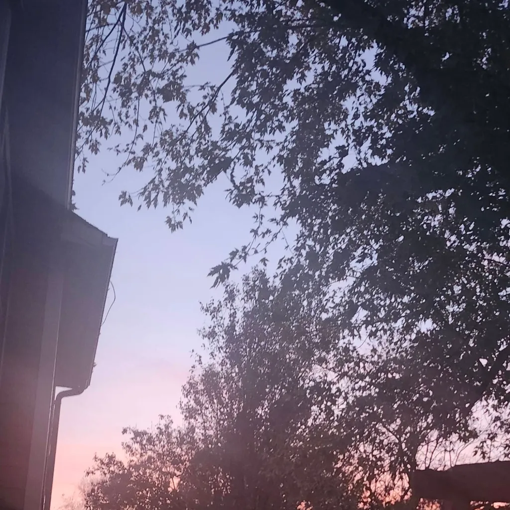 chat with ai character: Wednesday