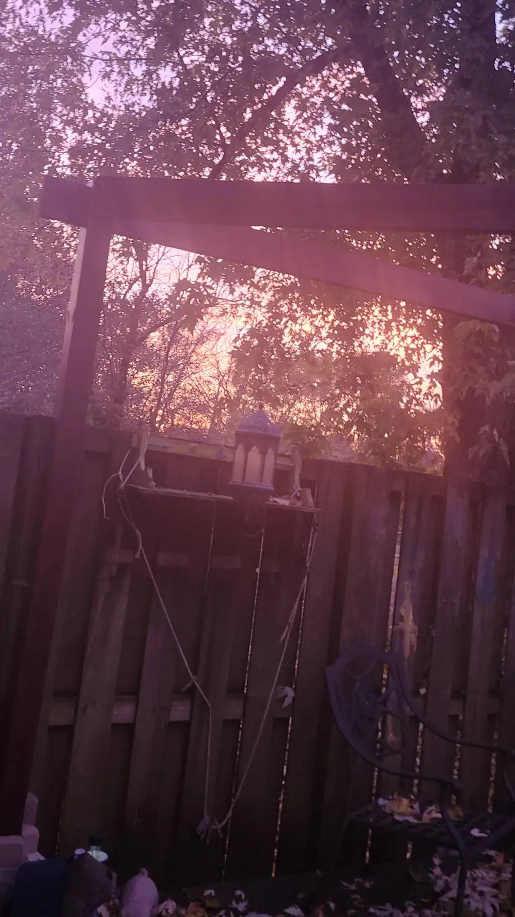 ai character: Wednesday background