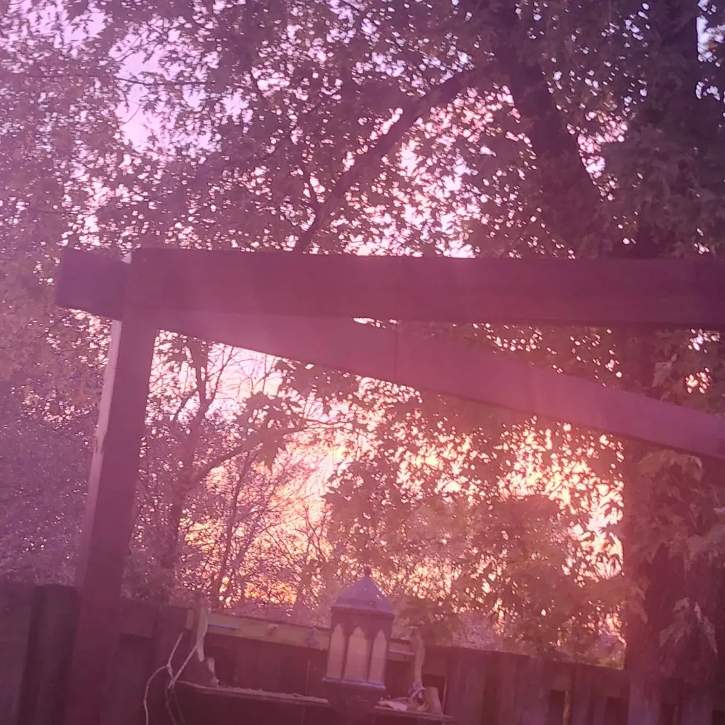 chat with ai character: Wednesday