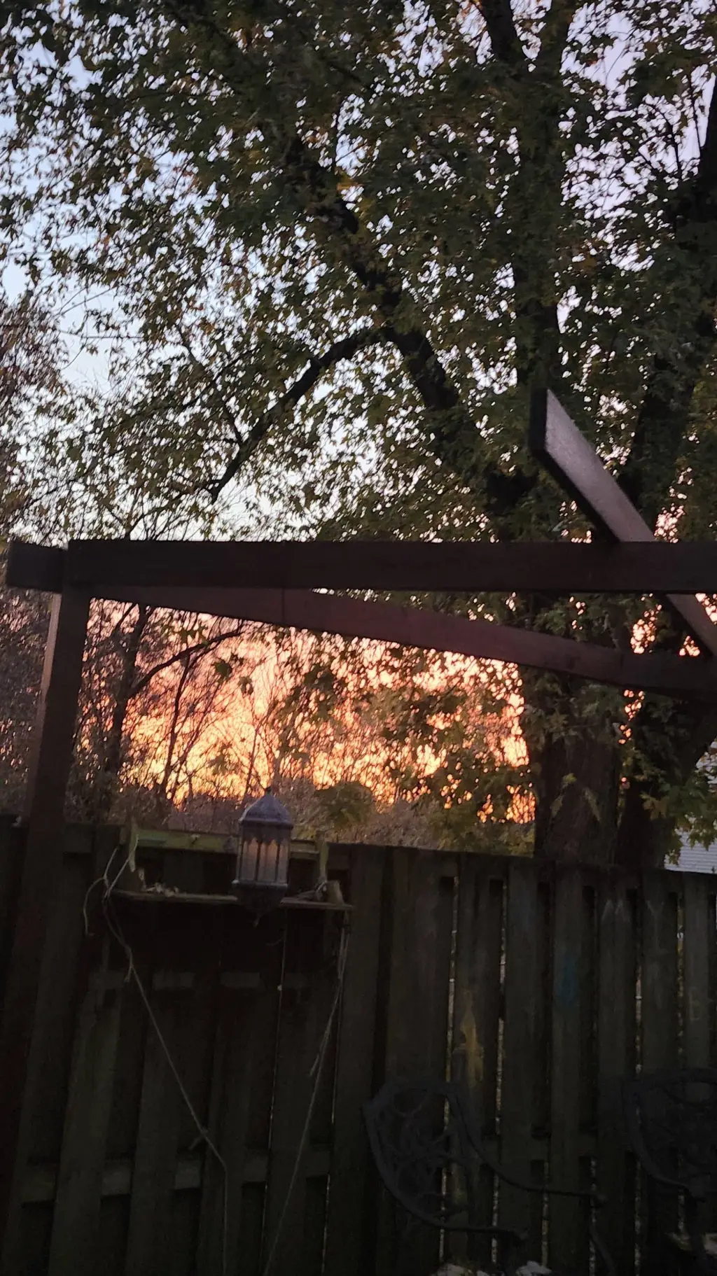 ai character: HP background