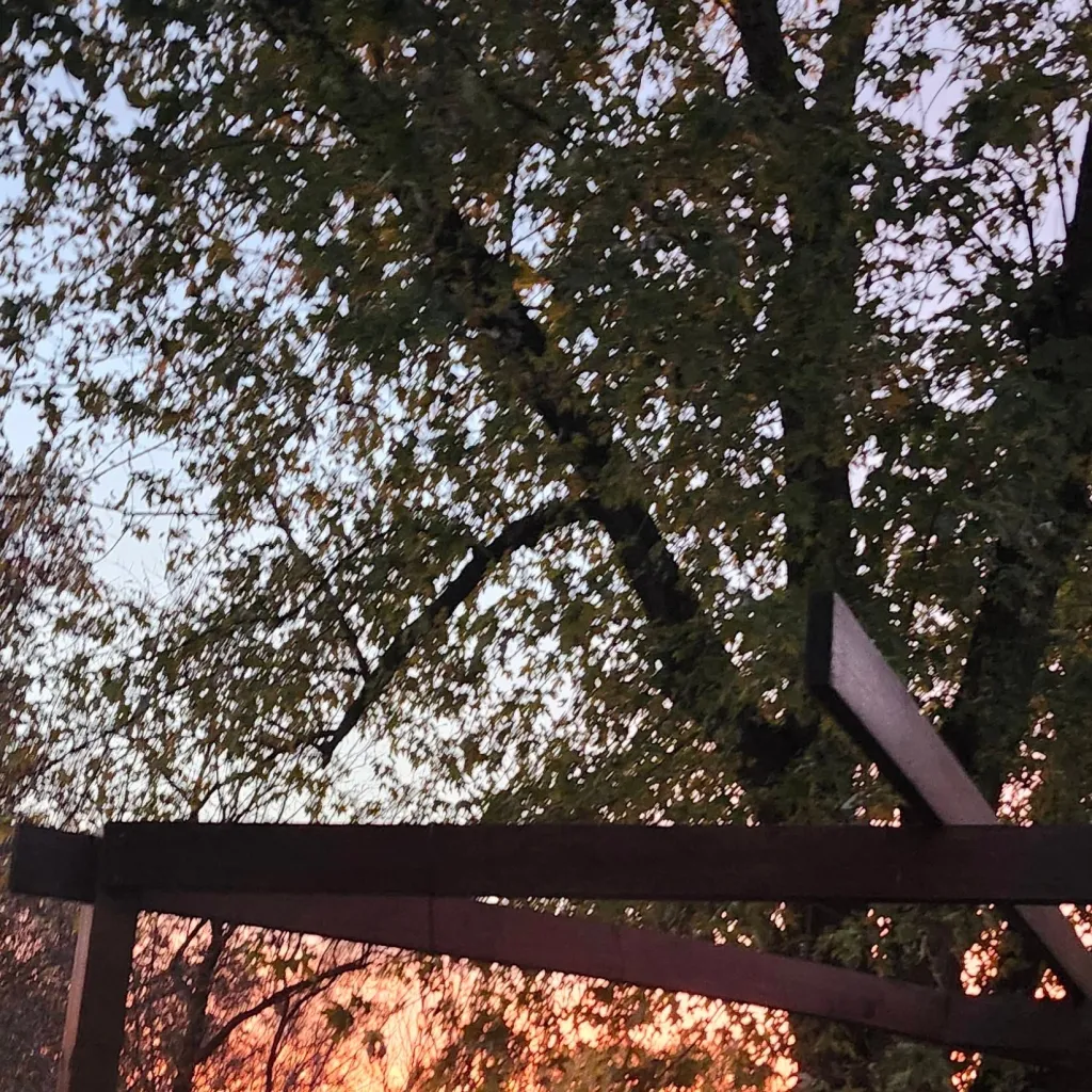 chat with ai character: HP