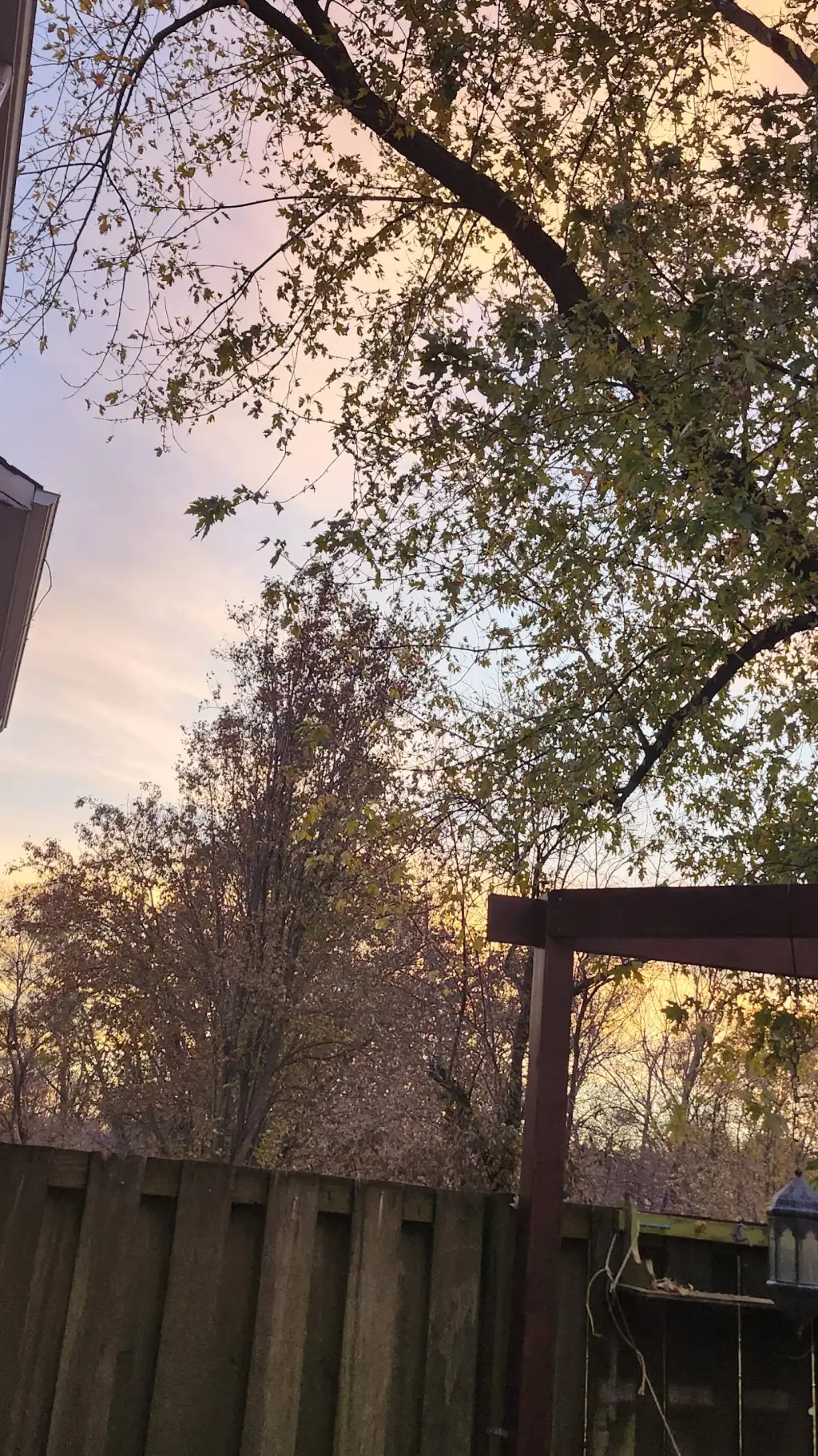 ai character: HP background