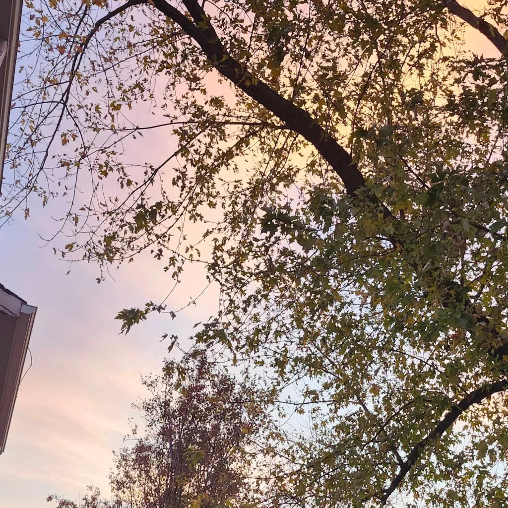 chat with ai character: HP