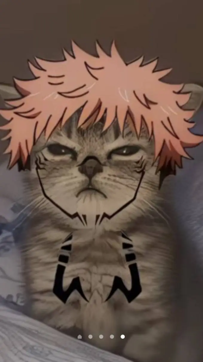 ai character: Sukuna cat background