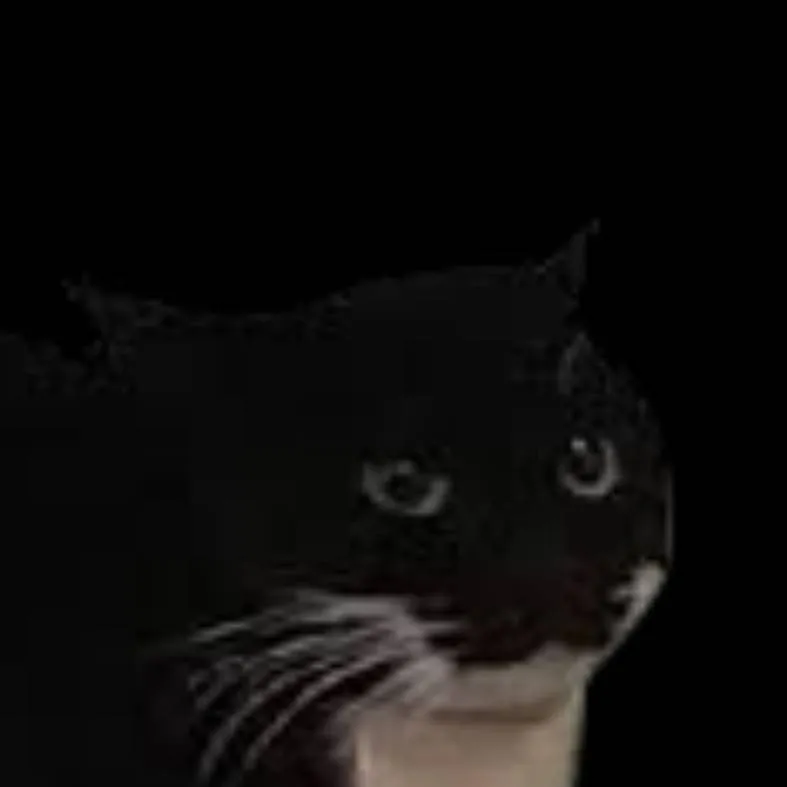 chat with ai character: Protogen Maker