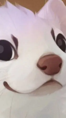 Talkie AI - Chat with Your a ferret 