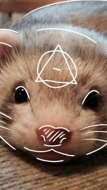 ai character: ferret therians background
