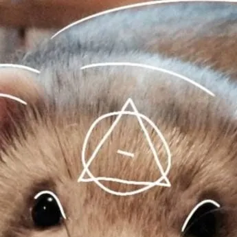 chat with ai character: ferret therians