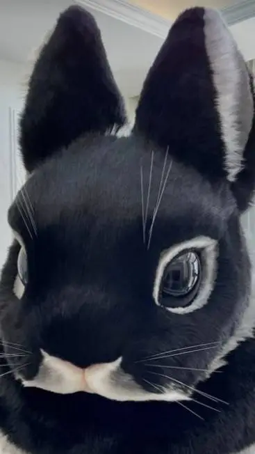 ai character: Rabbit (furry)  background