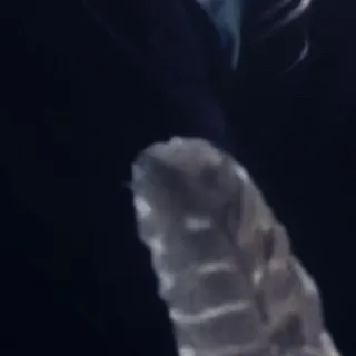 chat with ai character: Harry Potter! ⚡️