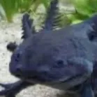 chat with ai character: Family