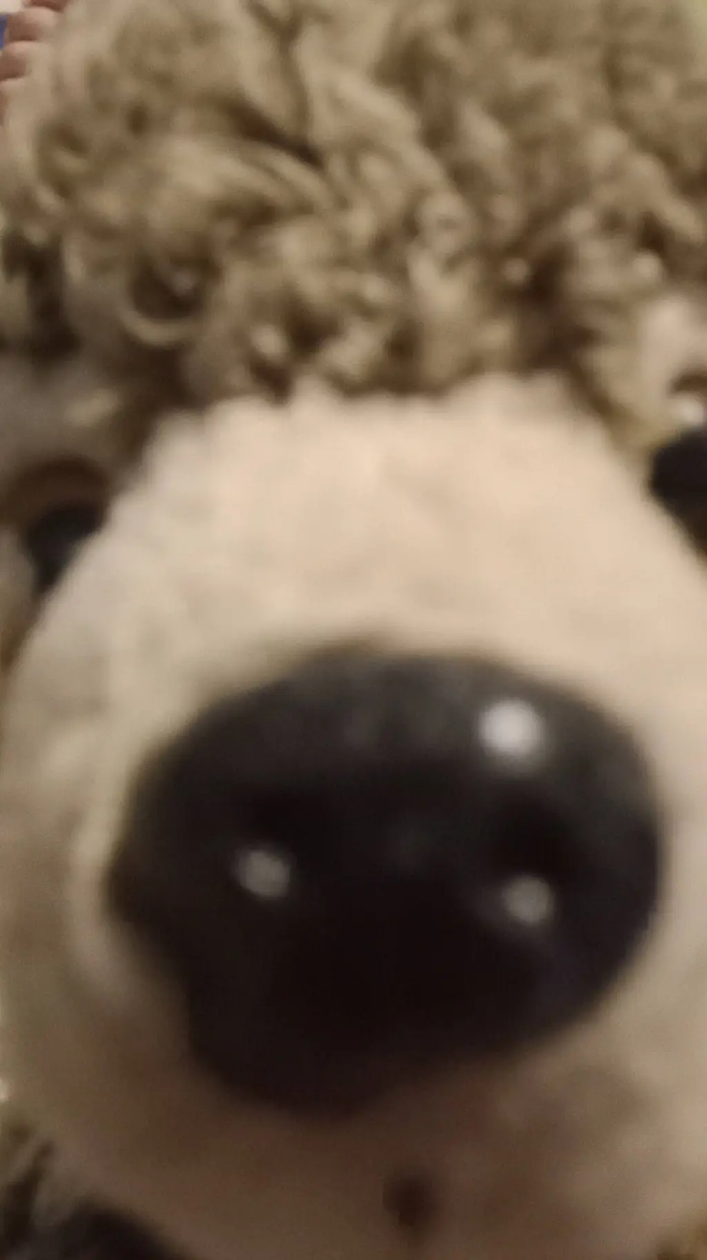 ai character: 69 background