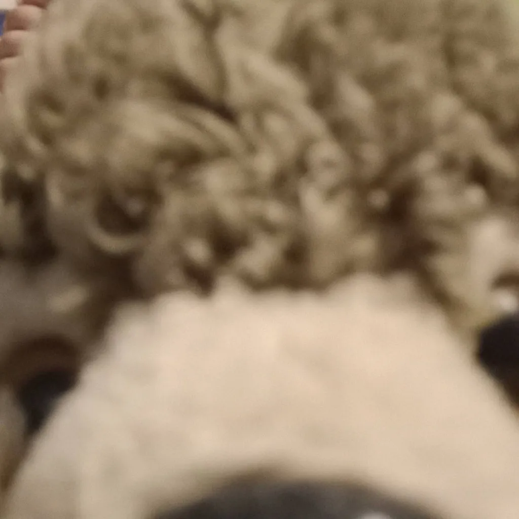 chat with ai character: 69