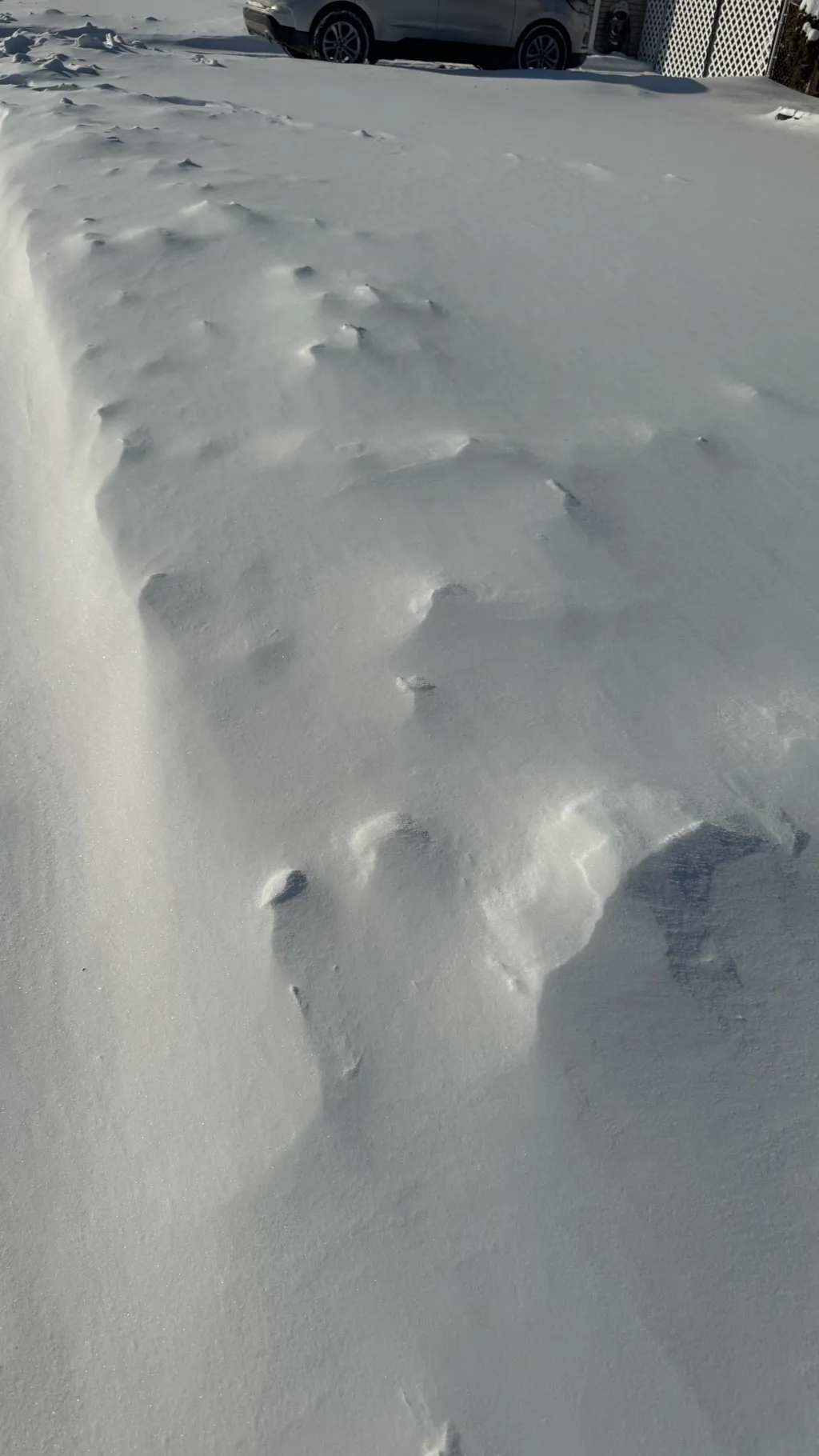 ai character: Ivory and Ellie background