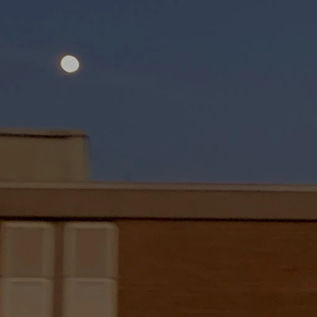 chat with ai character: I said I like you 