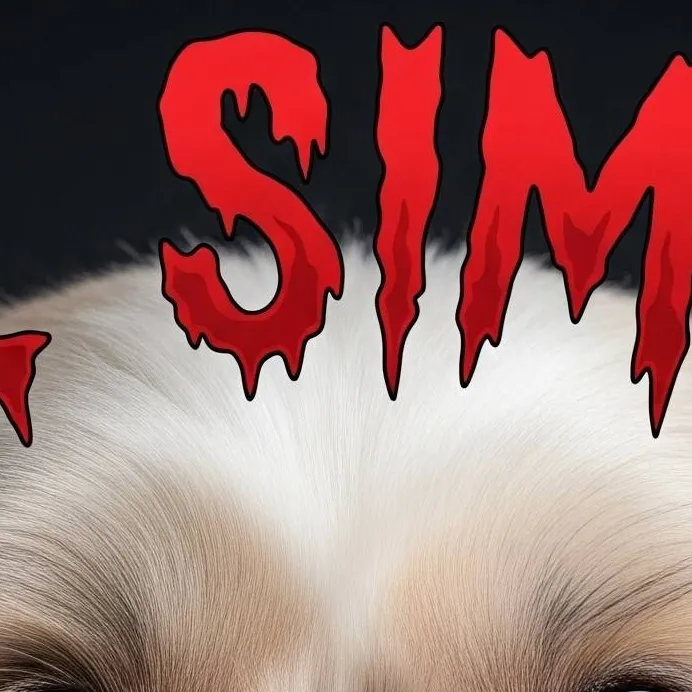 chat with ai character: lil Simon