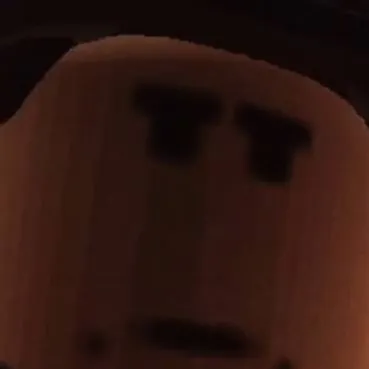 chat with ai character: TLF Soldier